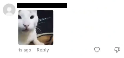 Enviar GIFs en comentarios de TikTok